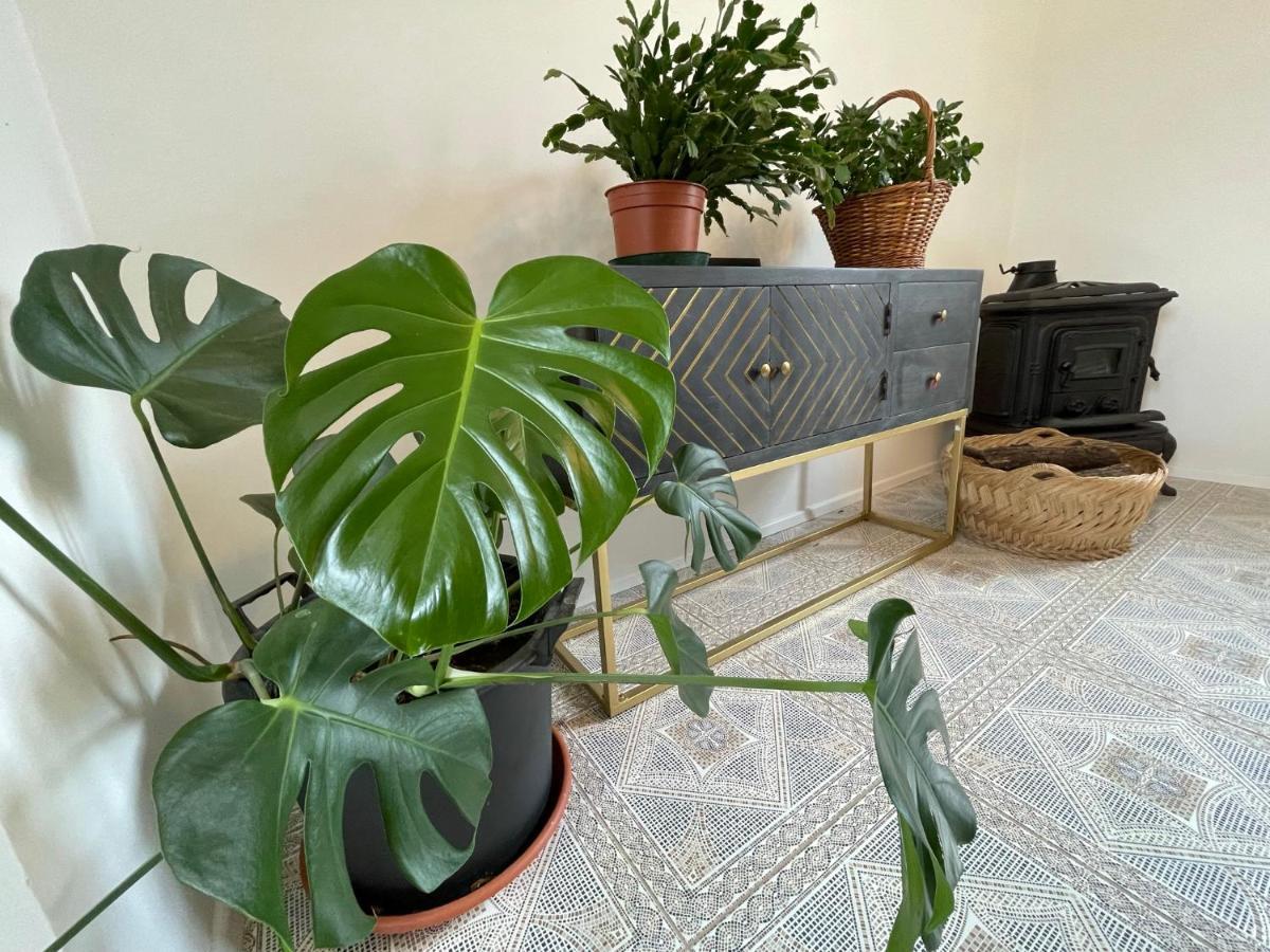 Cilka'S House, Authentic Homestay Near Lipica 세자나 외부 사진