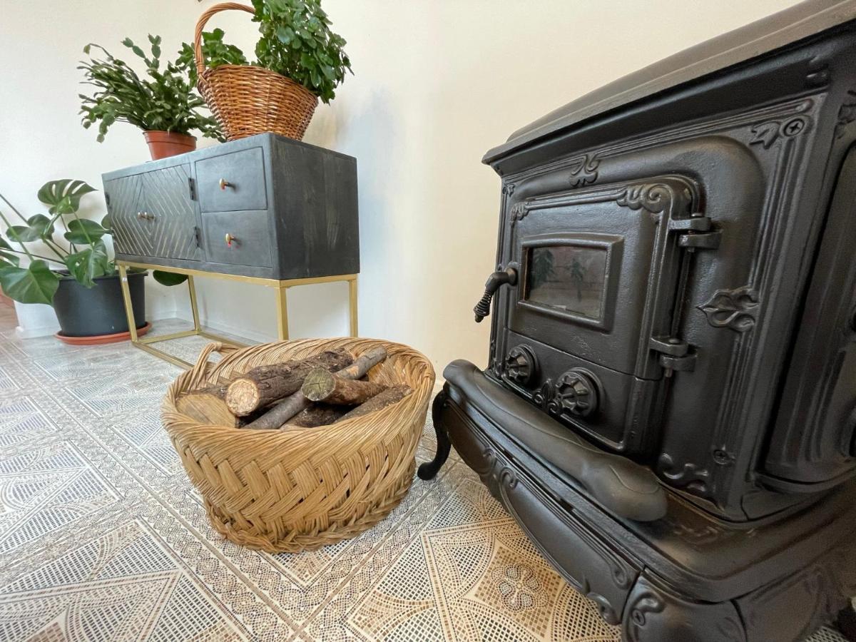 Cilka'S House, Authentic Homestay Near Lipica 세자나 외부 사진